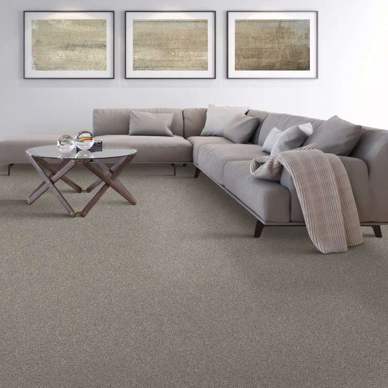 Family friendly carpet in Central CT and Litchfield Counties at Plymouth Home